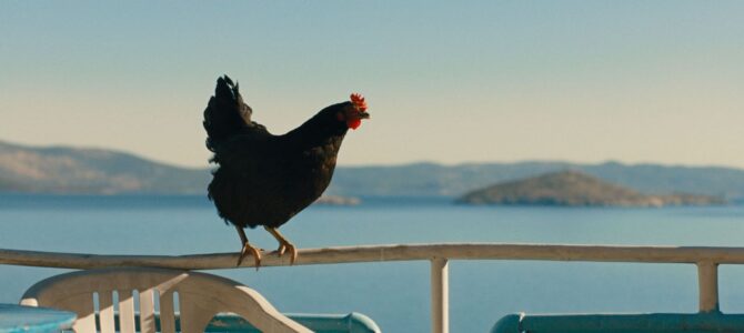 « Cocotte » : le bec plus ultra du cinéma
